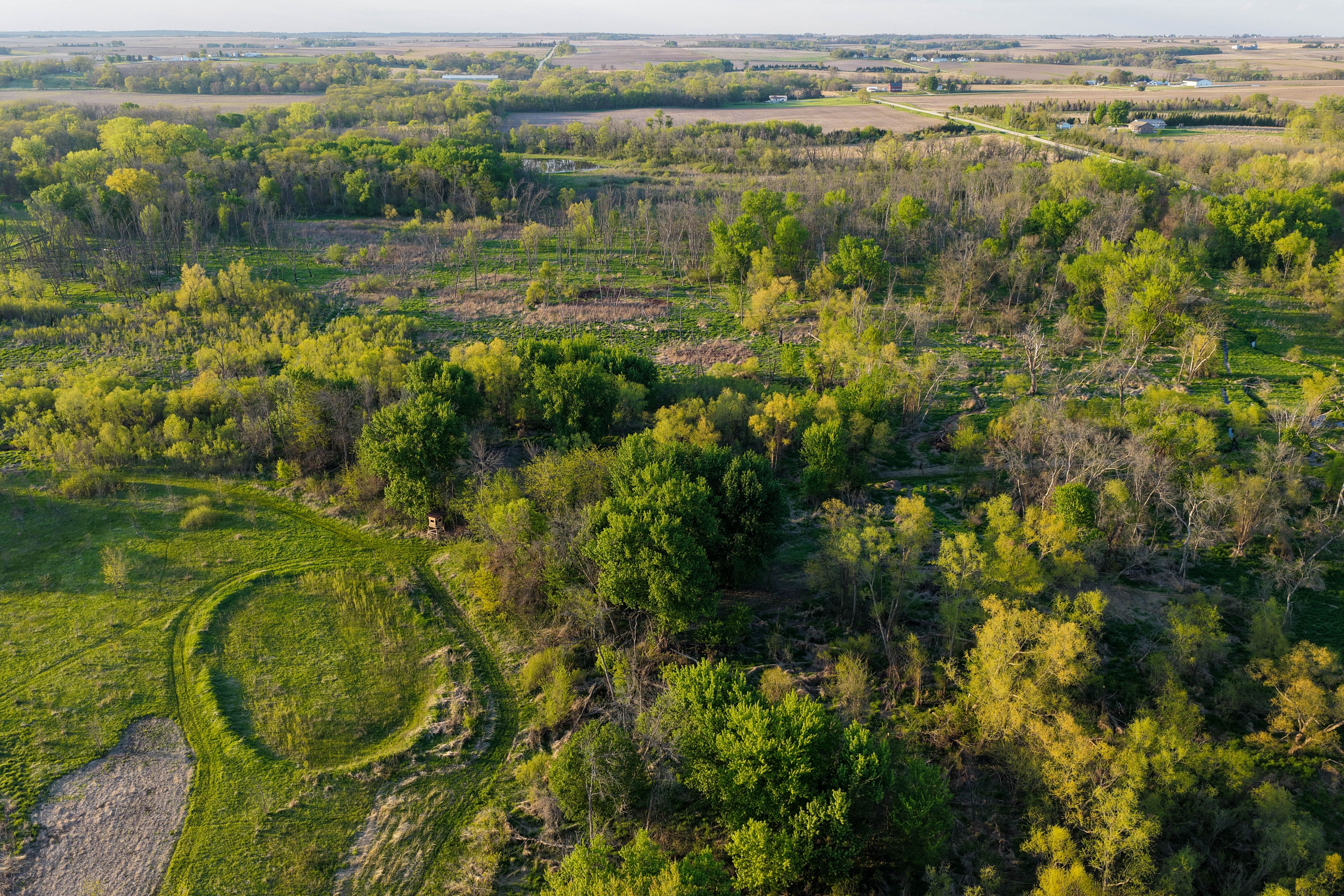 Listing Photo: Cedar County Whitetail Hutning Farm For Sale-21